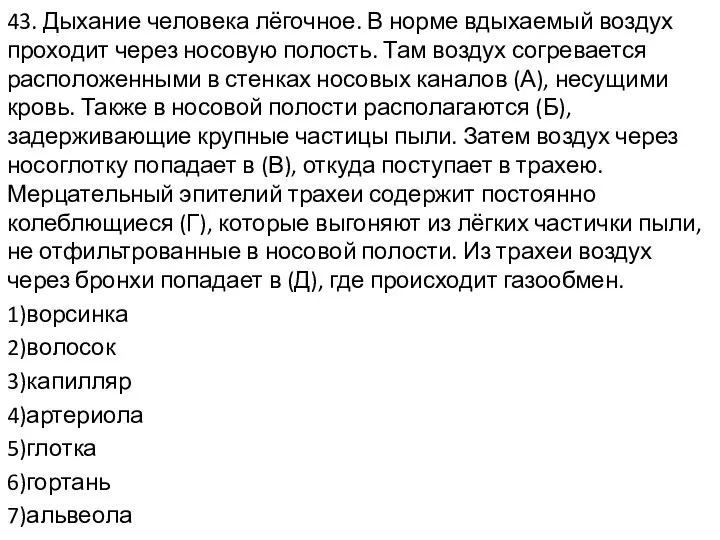 43. Дыхание человека лёгочное. В норме вдыхаемый воздух проходит через носовую