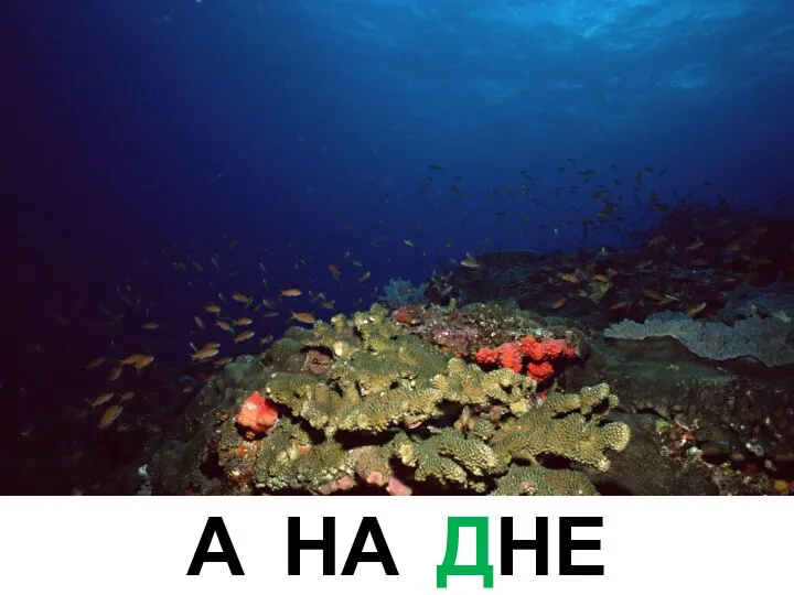 А НА ДНЕ