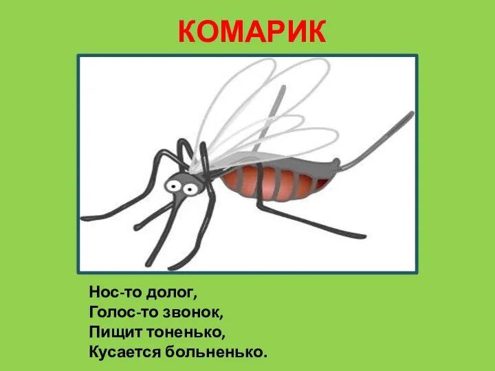 КОМАРИК Нос-то долог, Голос-то звонок, Пищит тоненько, Кусается больненько.