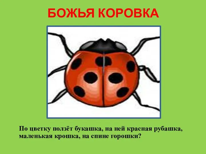 БОЖЬЯ КОРОВКА По цветку ползёт букашка, на ней красная рубашка, маленькая крошка, на спине горошки?