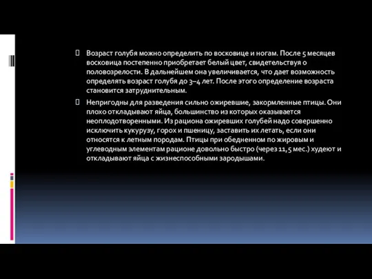 Возраст голубя можно определить по восковице и ногам. После 5 месяцев