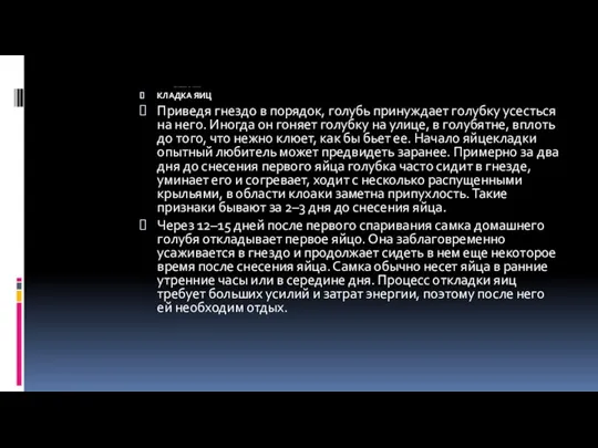 того голуби взлетают, громко хлопая крыльями, и, сделав круг, садятся и