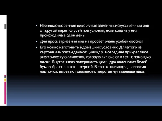 Неоплодотворенное яйцо лучше заменить искусственным или от другой пары голубей при