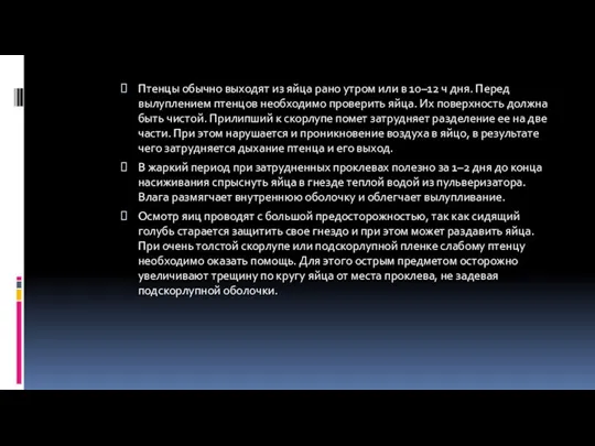 Птенцы обычно выходят из яйца рано утром или в 10–12 ч