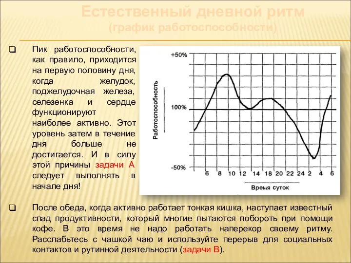 После обеда, когда активно работает тонкая кишка, наступает известный спад продуктивности,