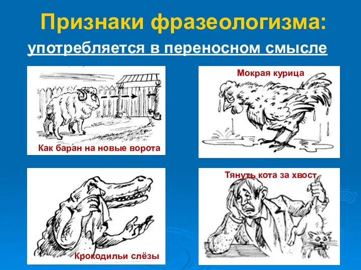 употребляется в переносном смысле Признаки фразеологизма: Как баран на новые ворота