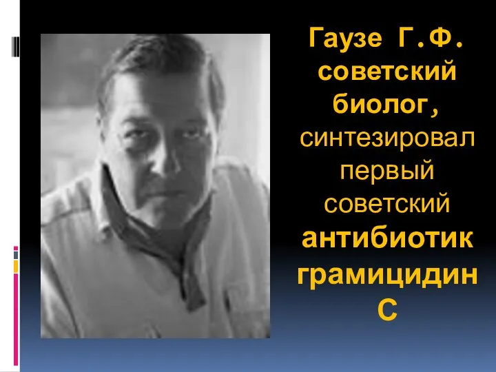 Гаузе Г.Ф. советский биолог, синтезировал первый советский антибиотик грамицидин С