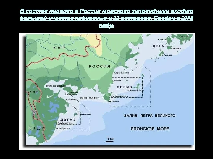 В состав первого в России морского заповедника входит большой участок побережья