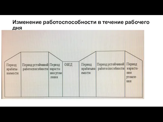 Изменение работоспособности в течение рабочего дня