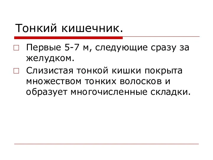 Тонкий кишечник. Первые 5-7 м, следующие сразу за желудком. Слизистая тонкой