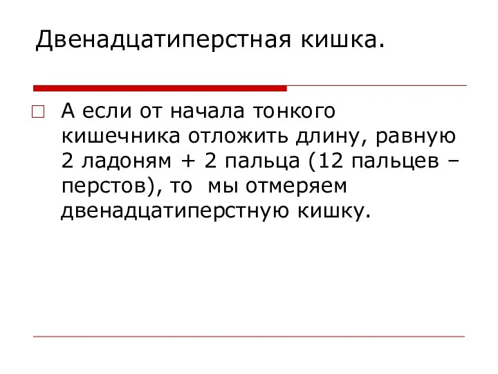 Двенадцатиперстная кишка. А если от начала тонкого кишечника отложить длину, равную