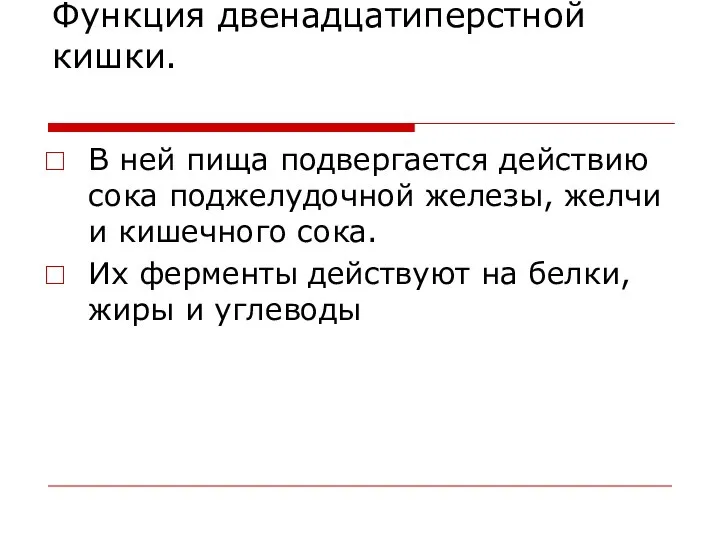 Функция двенадцатиперстной кишки. В ней пища подвергается действию сока поджелудочной железы,