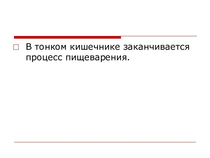 В тонком кишечнике заканчивается процесс пищеварения.