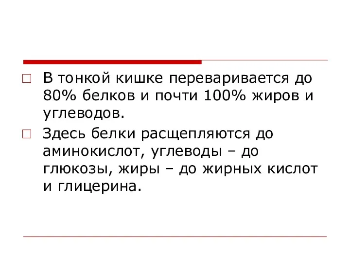 В тонкой кишке переваривается до 80% белков и почти 100% жиров