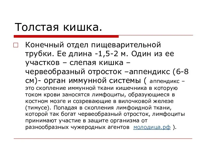 Толстая кишка. Конечный отдел пищеварительной трубки. Ее длина -1,5-2 м. Один