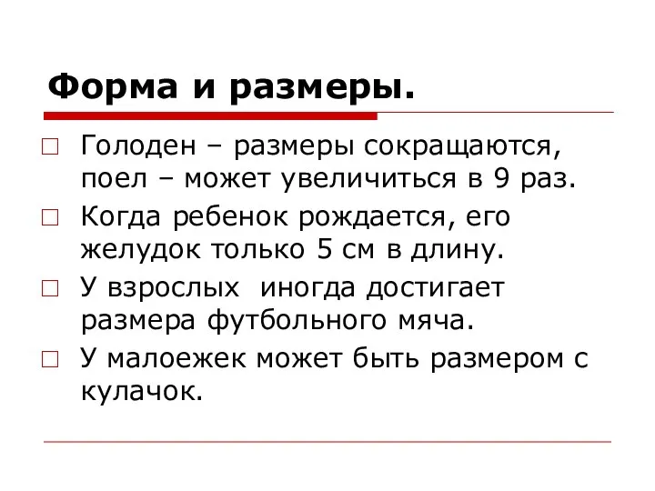 Форма и размеры. Голоден – размеры сокращаются, поел – может увеличиться