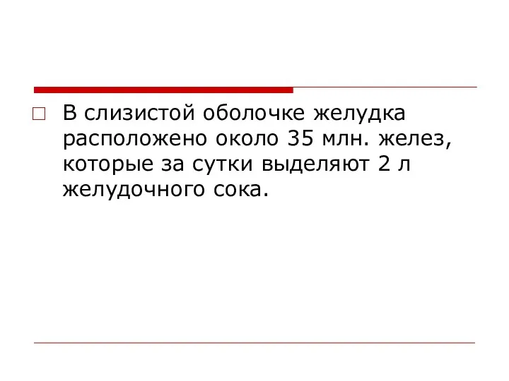 В слизистой оболочке желудка расположено около 35 млн. желез, которые за