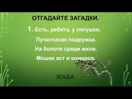 ОТГАДАЙТЕ ЗАГАДКИ. Есть, ребята, у лягушки, Пучеглазая подружка. На болоте среди