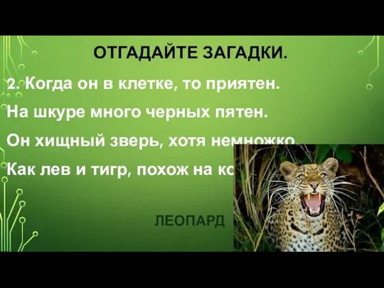 ОТГАДАЙТЕ ЗАГАДКИ. 2. Когда он в клетке, то приятен. На шкуре