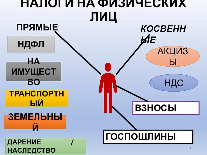 НАЛОГИ НА ФИЗИЧЕСКИХ ЛИЦ НДФЛ НА ИМУЩЕСТВО ТРАНСПОРТНЫЙ ПРЯМЫЕ КОСВЕННЫЕ ВЗНОСЫ