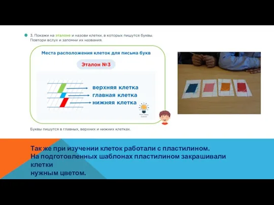 Так же при изучении клеток работали с пластилином. На подготовленных шаблонах пластилином закрашивали клетки нужным цветом.