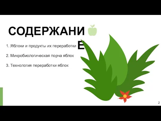 СОДЕРЖАНИЕ 2 1. Яблоки и продукты их переработки 2. Микробиологическая порча яблок 3. Технология переработки яблок