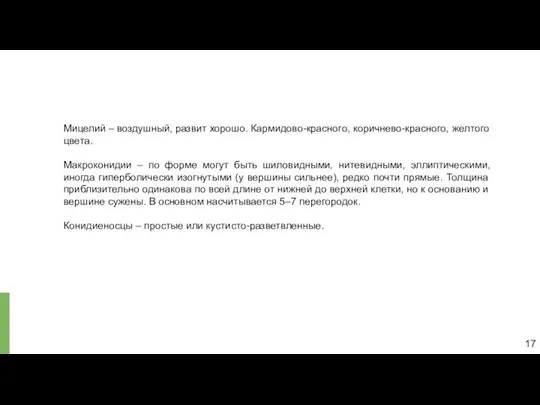 Мицелий – воздушный, развит хорошо. Кармидово-красного, коричнево-красного, желтого цвета. Макроконидии –