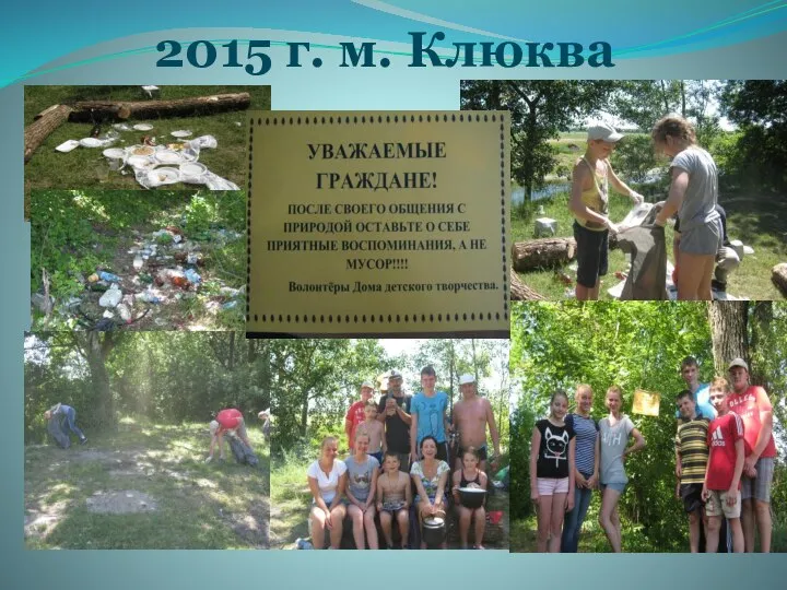 2015 г. м. Клюква