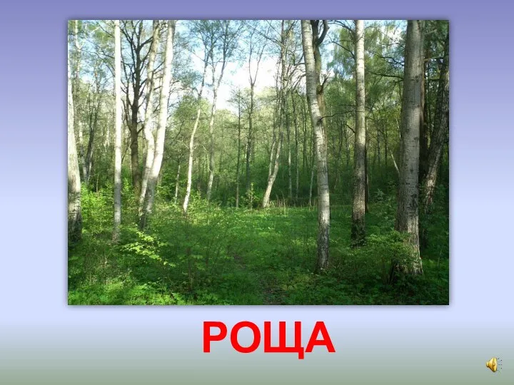 РОЩА