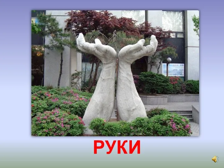 РУКИ