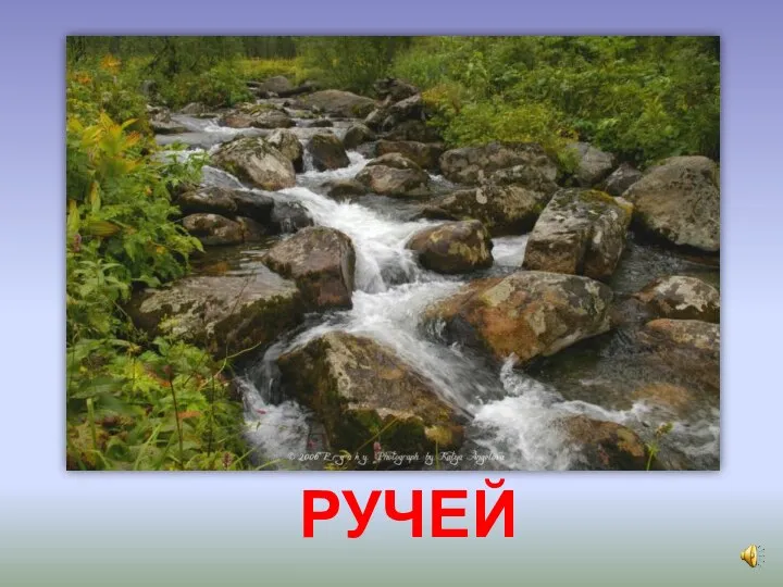 РУЧЕЙ