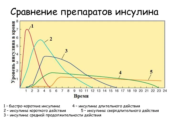 Сравнение препаратов инсулина 1 – быстро-короткие инсулины 4 – инсулины длительного