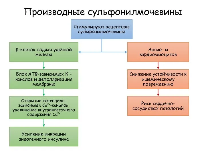 Производные сульфонилмочевины Стимулируют рецепторы сульфонилмочевины β-клеток поджелудочной железы Ангио- и кардиомиоцитов