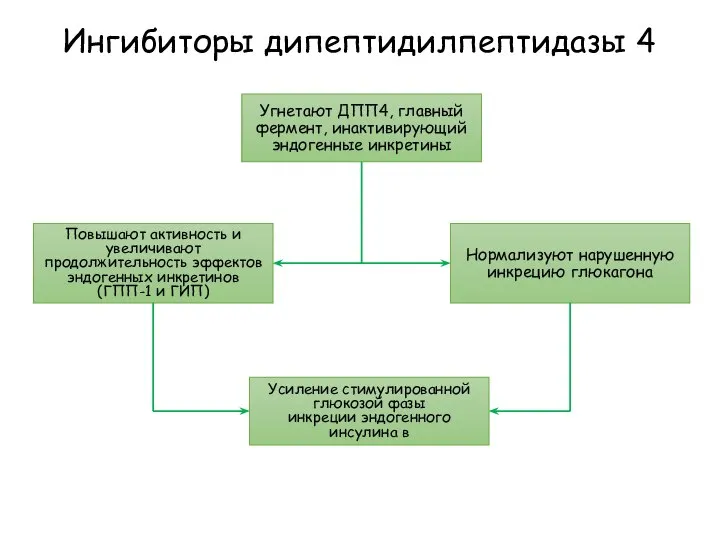 Ингибиторы дипептидилпептидазы 4 Угнетают ДПП4, главный фермент, инактивирующий эндогенные инкретины Повышают