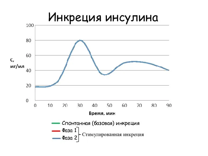 Инкреция инсулина Спонтанная (базовая) инкреция Фаза 1 Фаза 2 Стимулированная инкреция