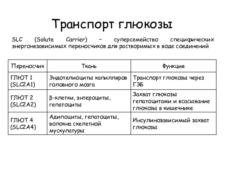 Транспорт глюкозы SLC (Solute Carrier) – суперсемейство специфических энергонезависимых переносчиков для растворимых в воде соединений