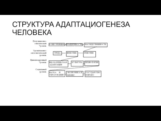 СТРУКТУРА АДАПТАЦИОГЕНЕЗА ЧЕЛОВЕКА