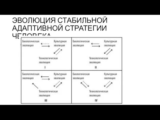 ЭВОЛЮЦИЯ СТАБИЛЬНОЙ АДАПТИВНОЙ СТРАТЕГИИ ЧЕЛОВЕКА