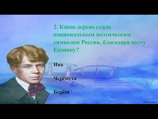 2. Какое дерево стало национальным поэтическим символом России, благодаря поэту Есенину? Ива Черёмуха Берёза