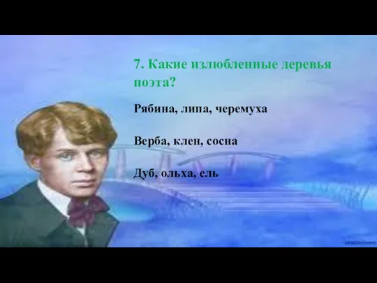 7. Какие излюбленные деревья поэта? Рябина, липа, черемуха Верба, клен, сосна Дуб, ольха, ель