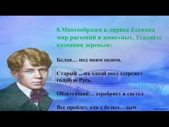 8.Многообразен в лирике Есенина мир растений и животных. Угадайте названия деревьев: