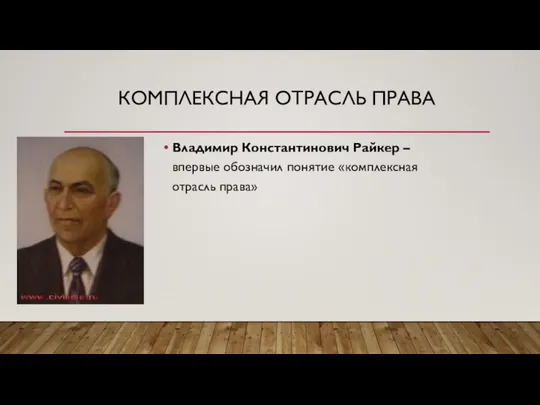 КОМПЛЕКСНАЯ ОТРАСЛЬ ПРАВА Владимир Константинович Райкер – впервые обозначил понятие «комплексная отрасль права»