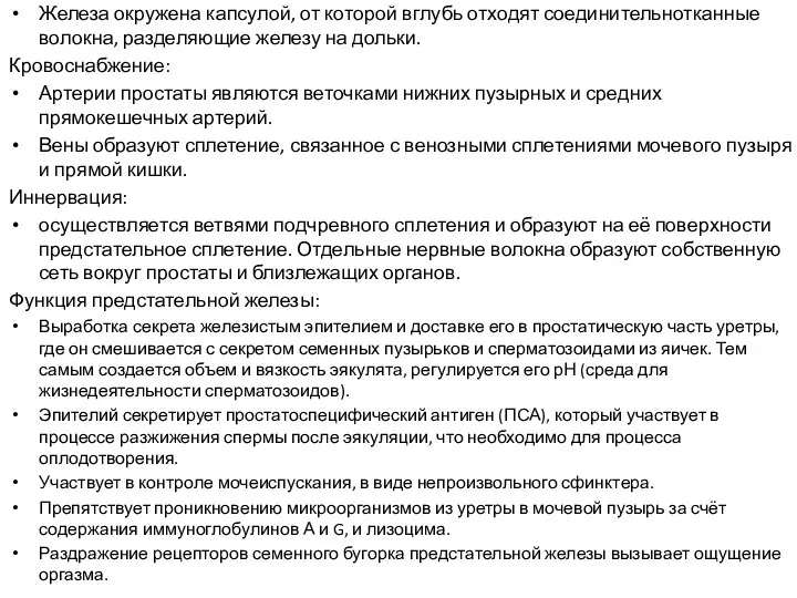 Железа окружена капсулой, от которой вглубь отходят соединительнотканные волокна, разделяющие железу