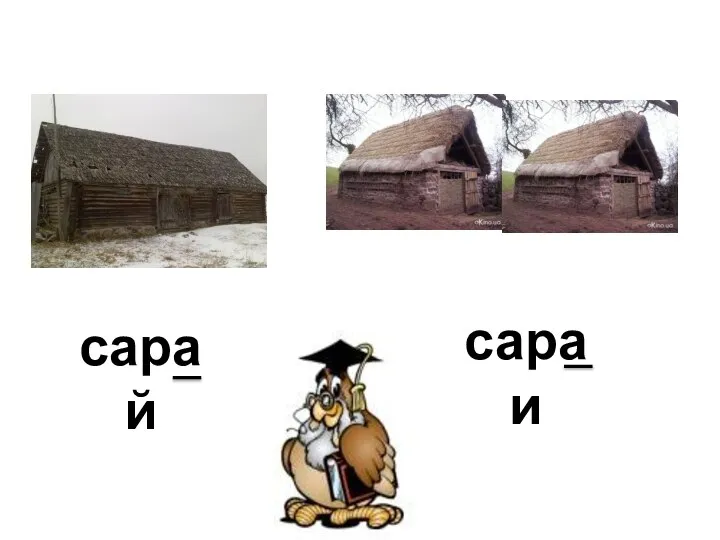 сарай сараи