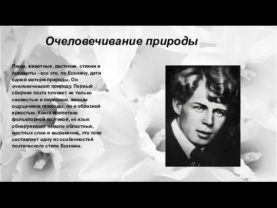 Очеловечивание природы Люди, животные, растения, стихии и предметы - все это,