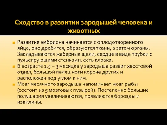 Сходство в развитии зародышей человека и животных Развитие эмбриона начинается с