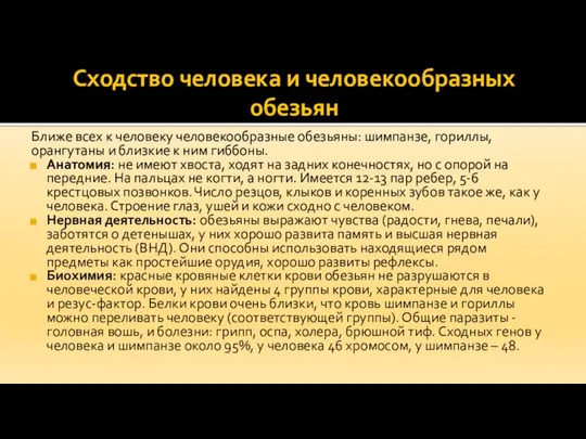 Сходство человека и человекообразных обезьян Ближе всех к человеку человекообразные обезьяны: