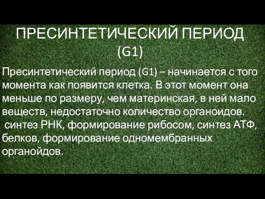 Пресинтетический период (G1) – начинается с того момента как появится клетка.