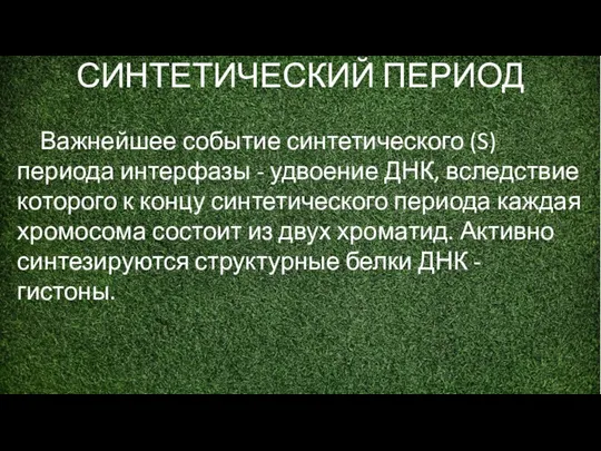 СИНТЕТИЧЕСКИЙ ПЕРИОД Важнейшее событие синтетического (S) периода интерфазы - удвоение ДНК,