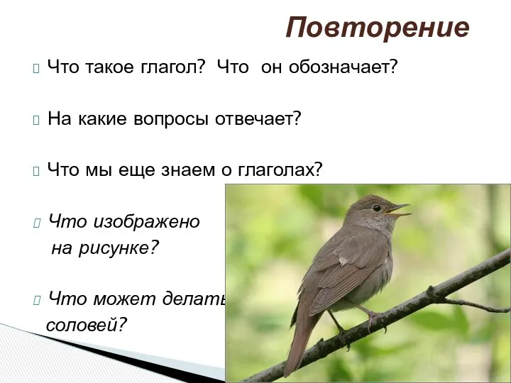 Что такое глагол? Что он обозначает? На какие вопросы отвечает? Что